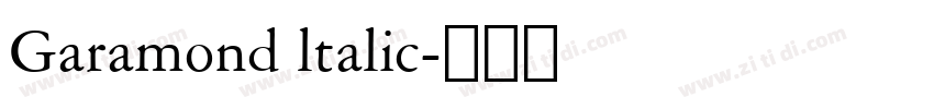 Garamond ltalic字体转换